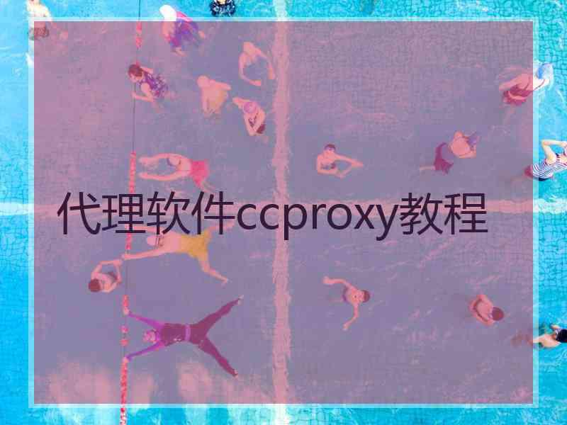 代理软件ccproxy教程