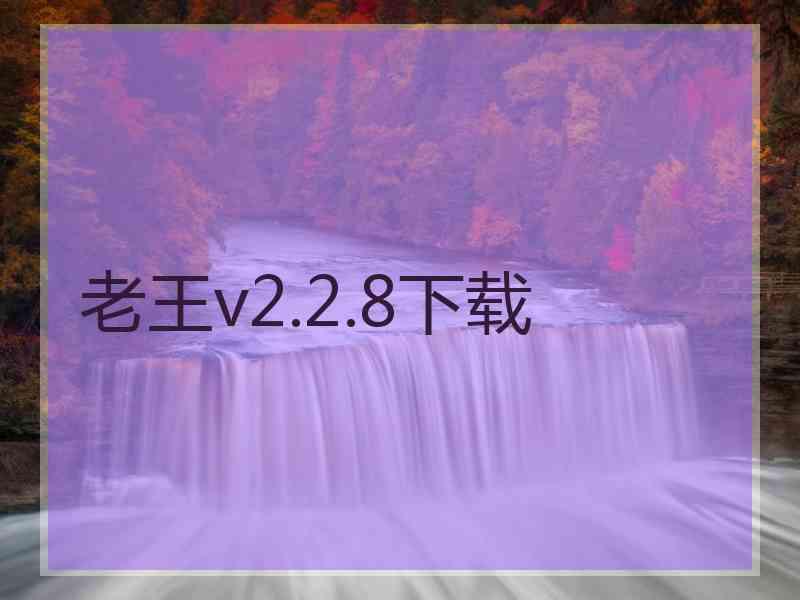 老王v2.2.8下载