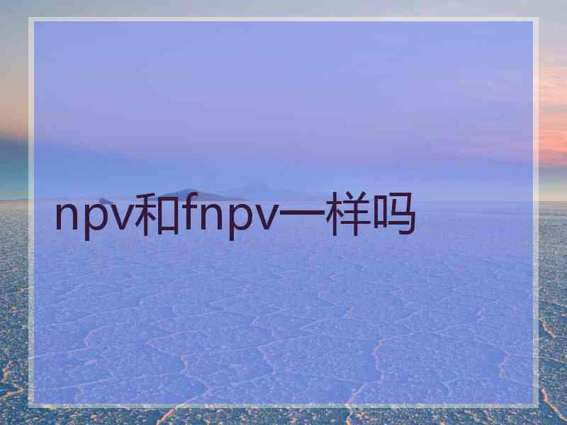 npv和fnpv一样吗