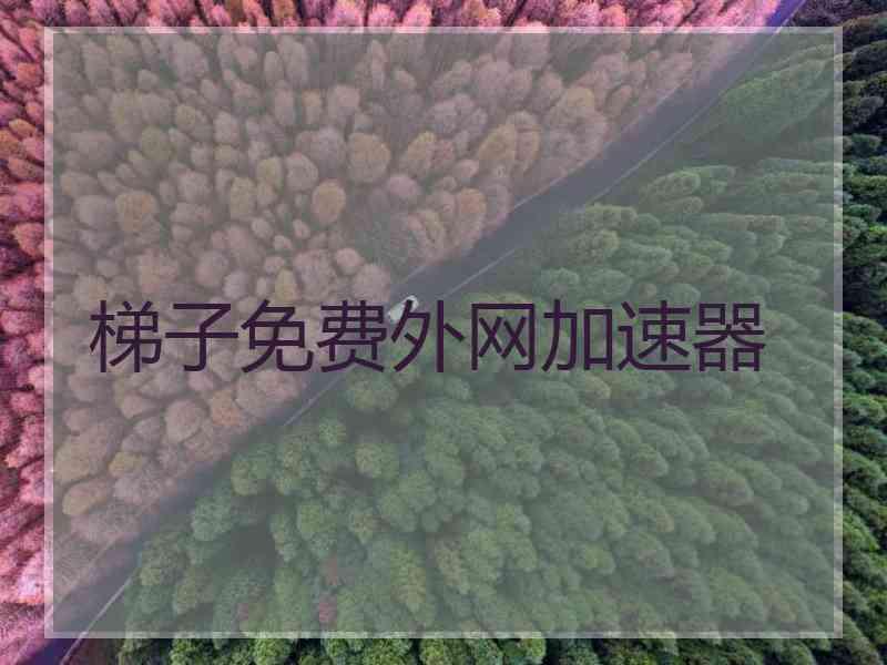 梯子免费外网加速器