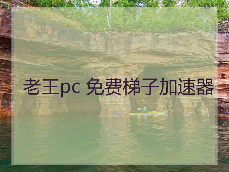 老王pc 免费梯子加速器