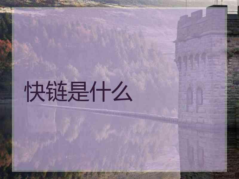 快链是什么