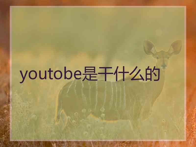 youtobe是干什么的