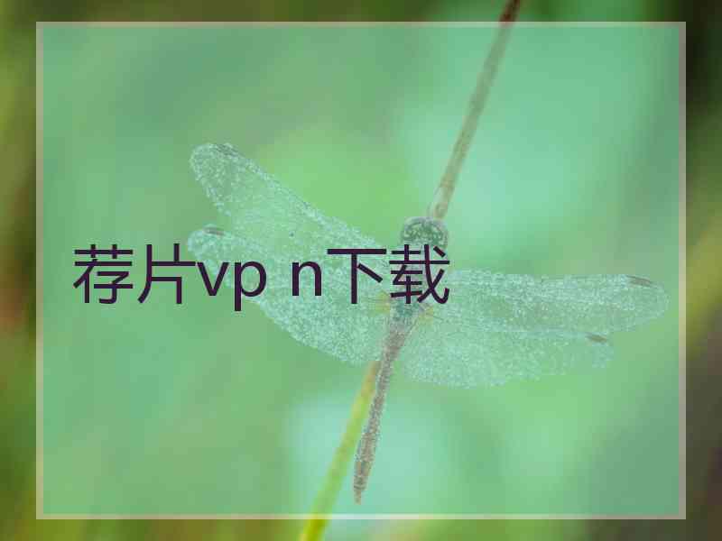 荐片vp n下载