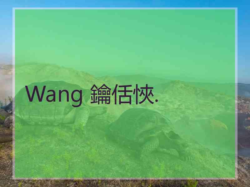 Wang 鑰佸悏.