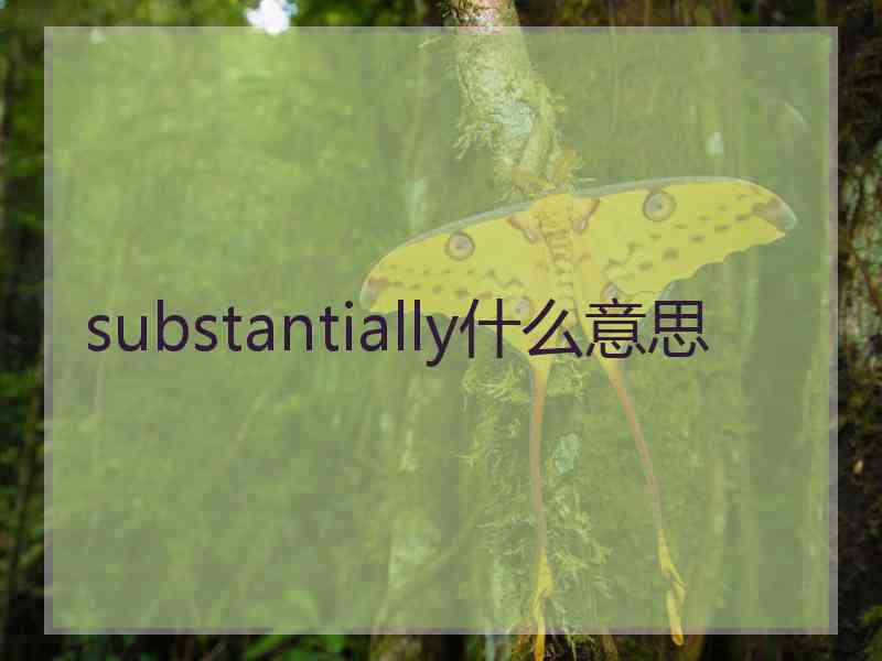 substantially什么意思