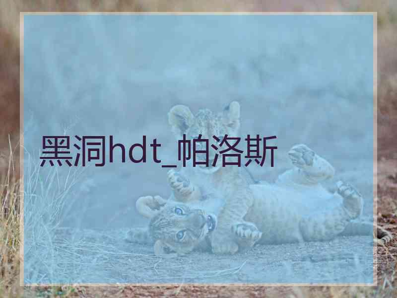 黑洞hdt_帕洛斯