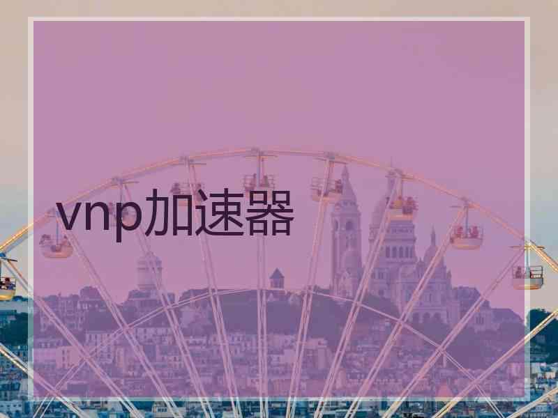 vnp加速器