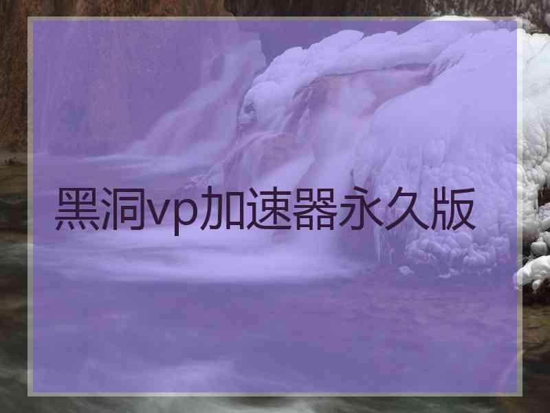 黑洞vp加速器永久版