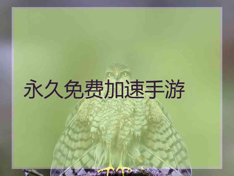 永久免费加速手游