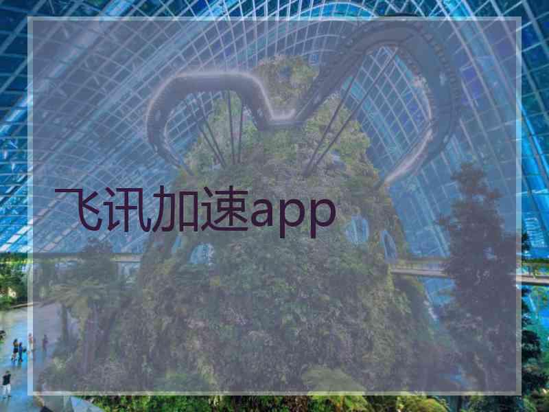 飞讯加速app