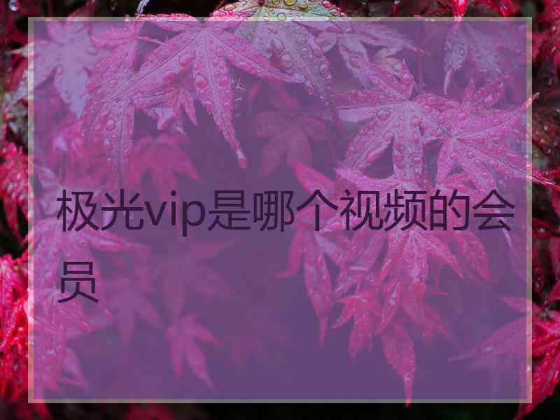 极光vip是哪个视频的会员