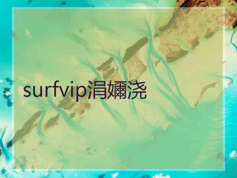 surfvip涓嬭浇