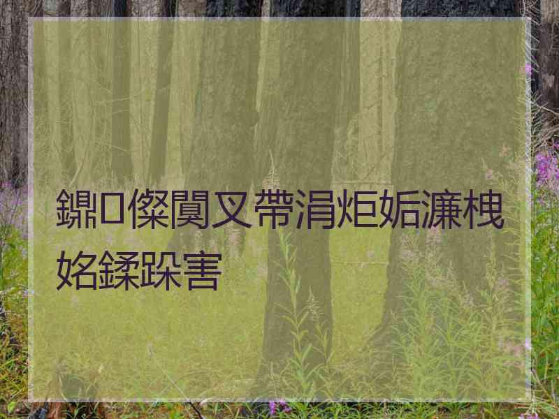 鐤儏闃叉帶涓炬姤濂栧姳鍒跺害