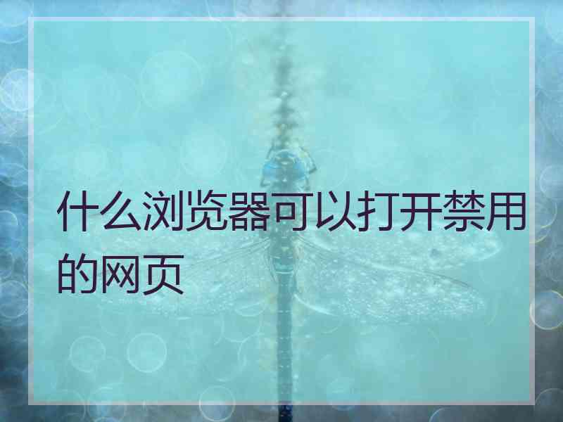 什么浏览器可以打开禁用的网页