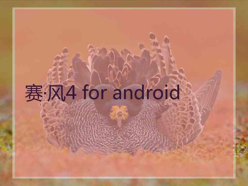 赛·风4 for android