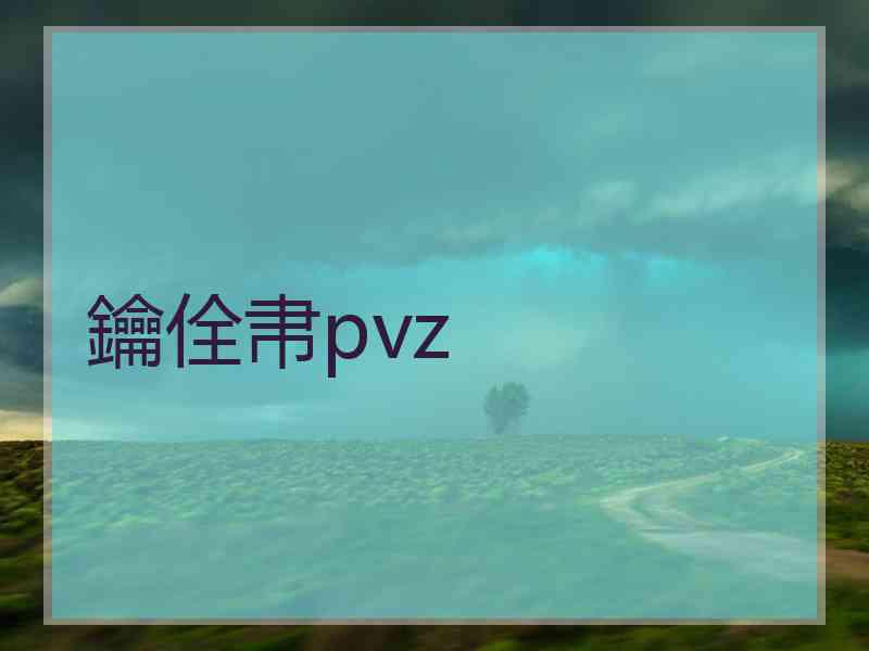 鑰佺帇pvz