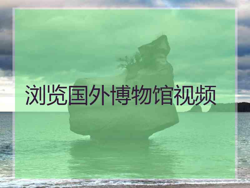 浏览国外博物馆视频