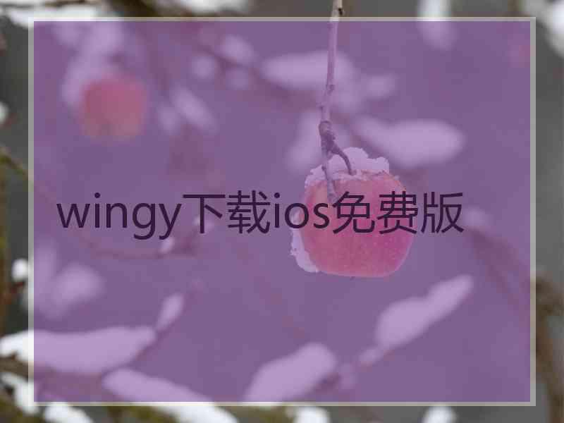 wingy下载ios免费版