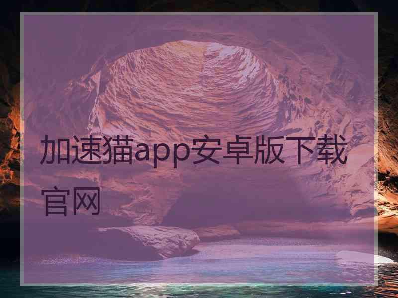 加速猫app安卓版下载官网