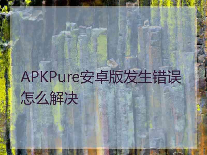 APKPure安卓版发生错误怎么解决