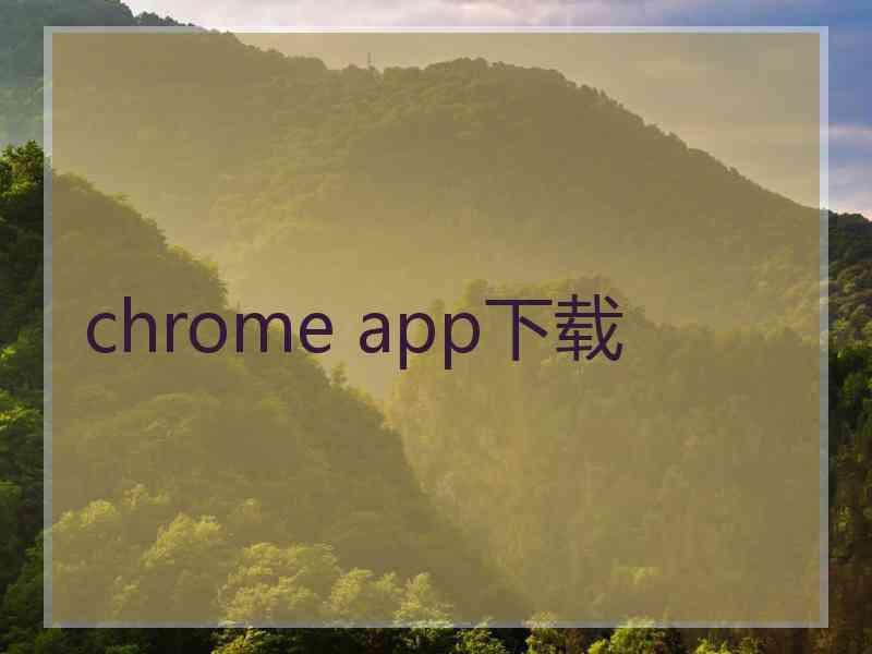 chrome app下载