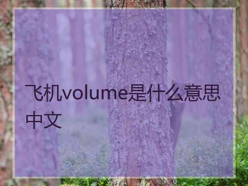 飞机volume是什么意思中文