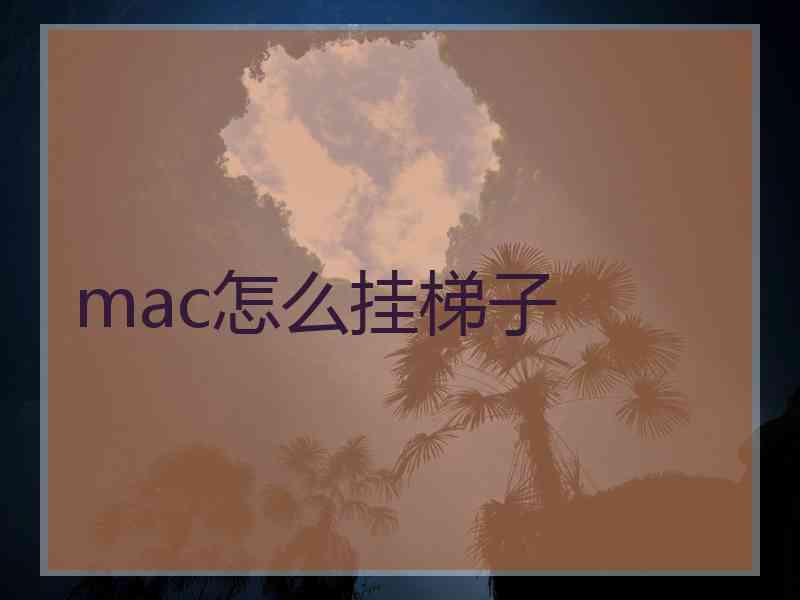 mac怎么挂梯子