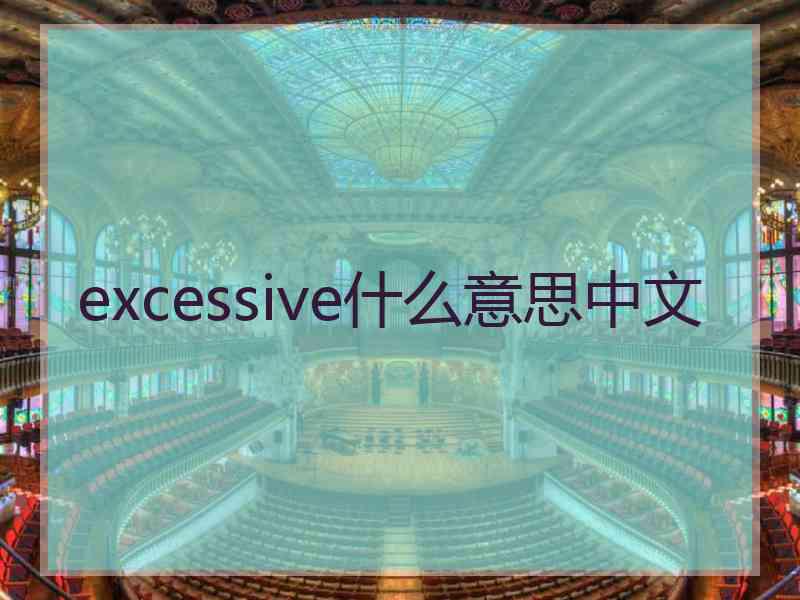 excessive什么意思中文