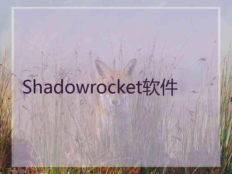 Shadowrocket软件