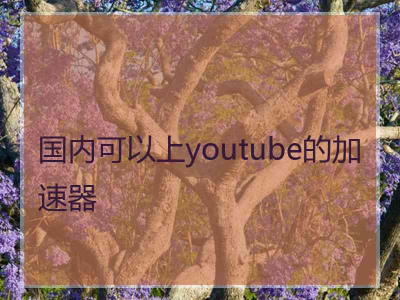 国内可以上youtube的加速器