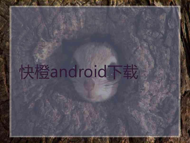 快橙android下载