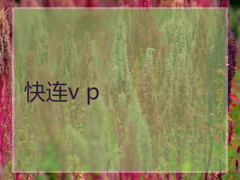 快连v p