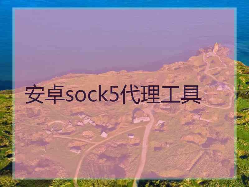 安卓sock5代理工具