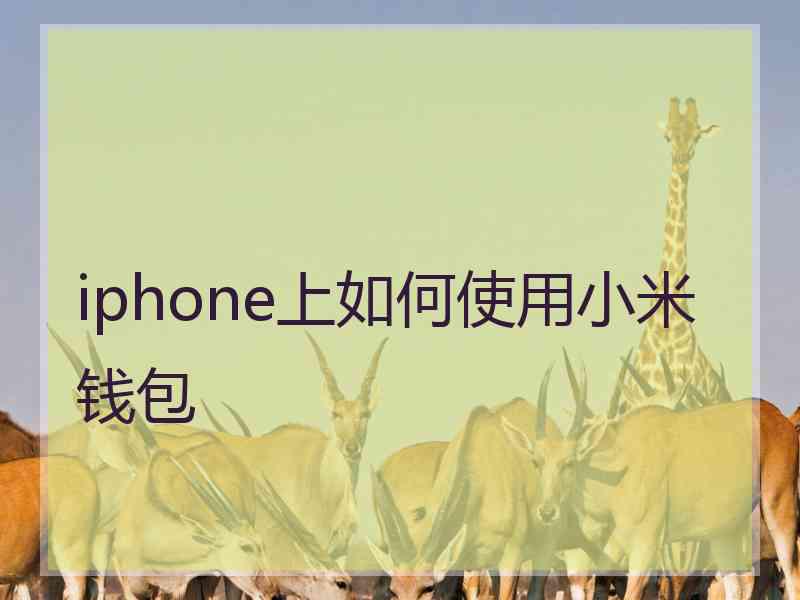 iphone上如何使用小米钱包