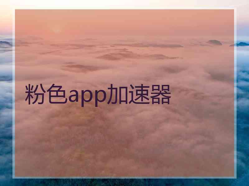 粉色app加速器