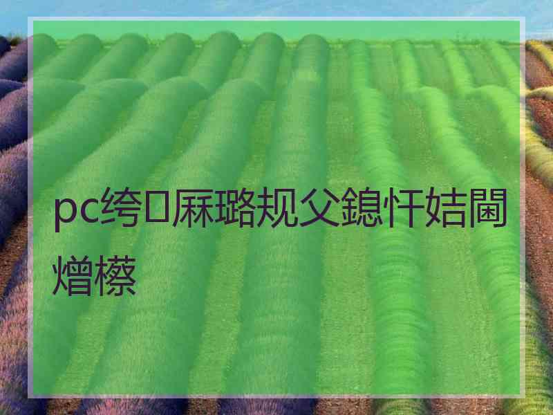 pc绔厤璐规父鎴忓姞閫熷櫒