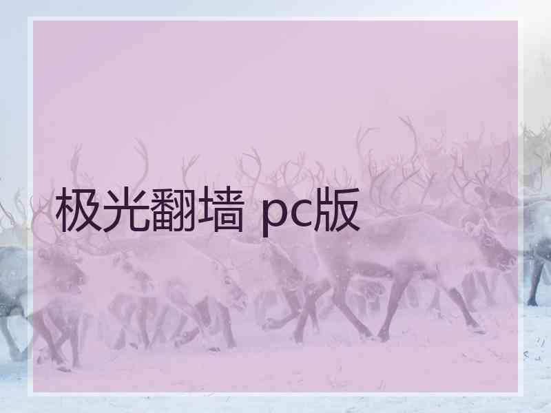 极光翻墙 pc版