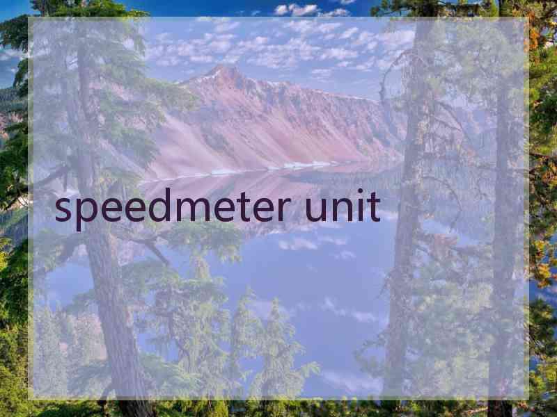 speedmeter unit