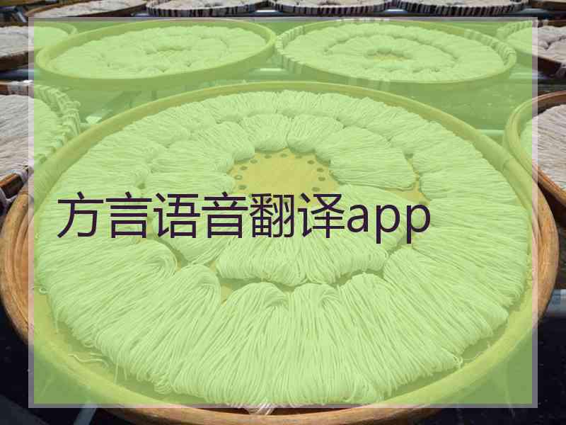 方言语音翻译app