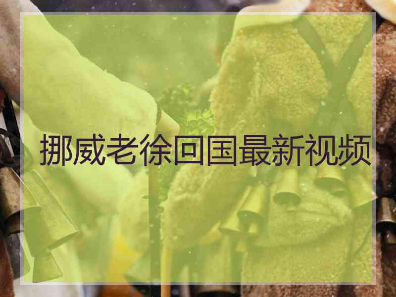 挪威老徐回国最新视频