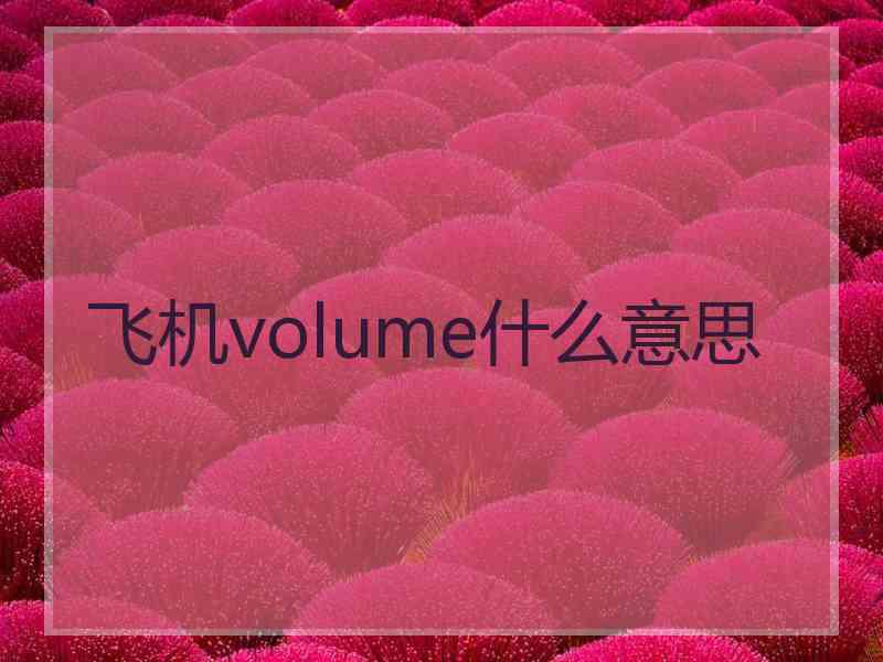 飞机volume什么意思