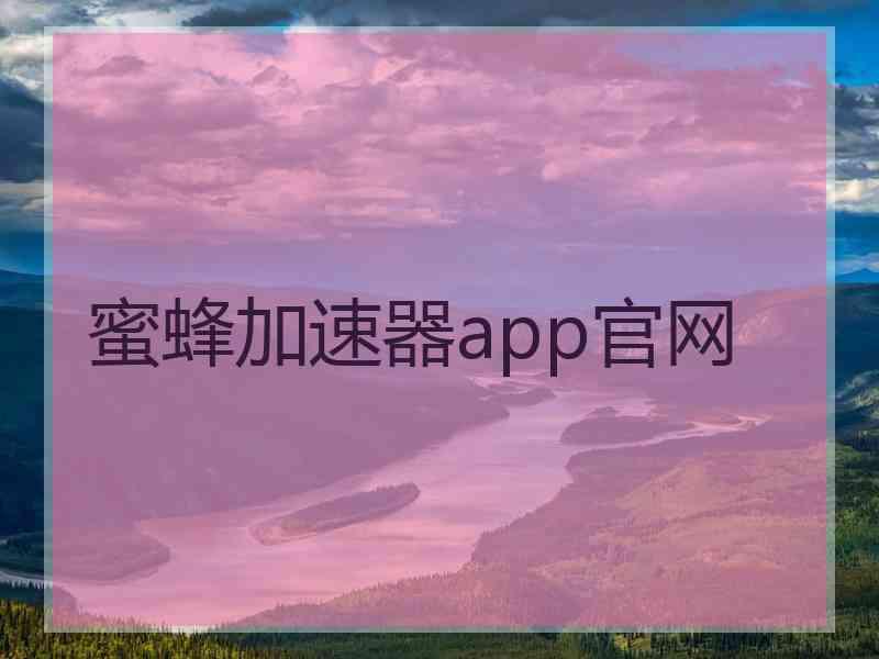 蜜蜂加速器app官网