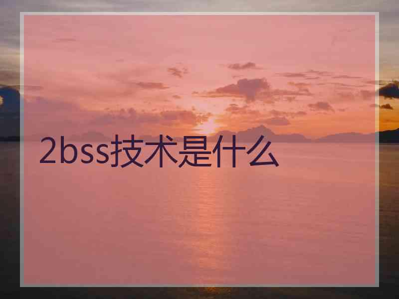 2bss技术是什么