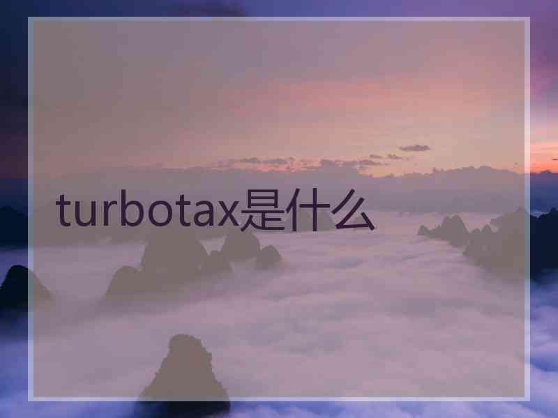 turbotax是什么