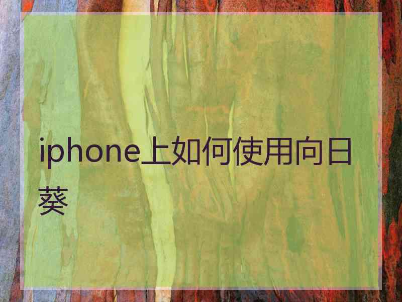 iphone上如何使用向日葵