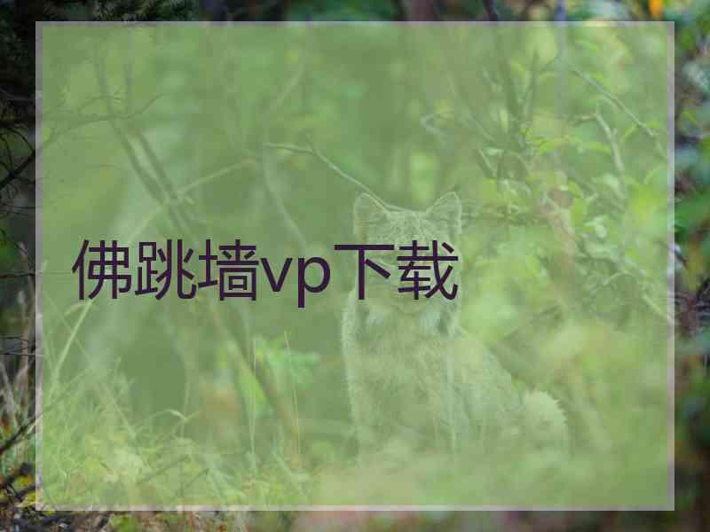 佛跳墙vp下载