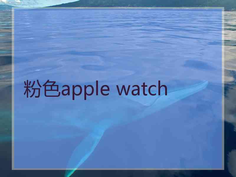 粉色apple watch