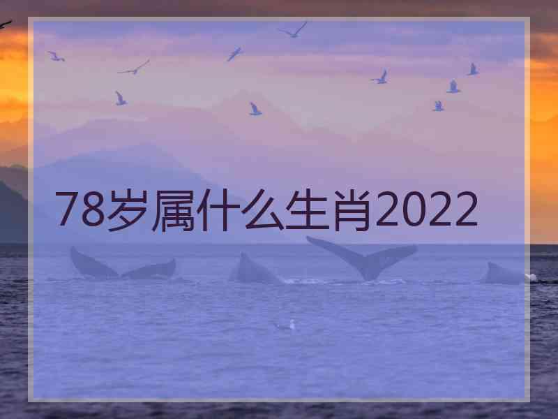 78岁属什么生肖2022