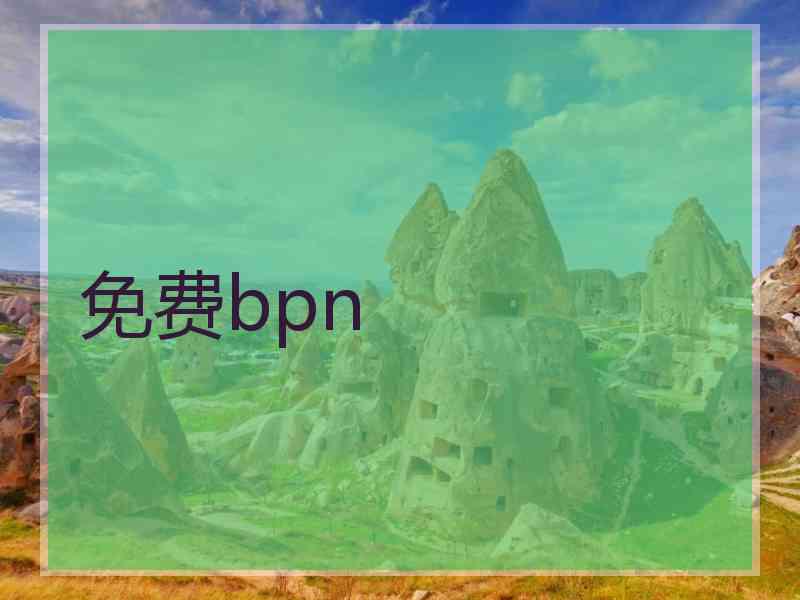 免费bpn